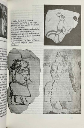 The tomb-builders of the pharaohs