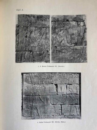 Untersuchungen zu den Reliefs aus dem Re-heiligtum des Rathures[newline]M0144a-08.jpg