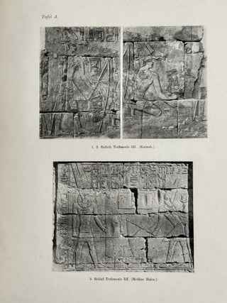 Untersuchungen zu den Reliefs aus dem Re-heiligtum des Rathures[newline]M0144d-03.jpeg