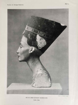 Porträts der Königin Nofret-ete aus den Grabungen 1912/13 in Tell El-Amarna[newline]M0172d-13.jpeg