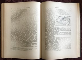 Das Grabdenkmal des Königs Sa-hu-Re. Band II: die Wandbilder. Teil 1: Text. Teil II: Tafeln (complete)[newline]M0176a-09.jpg