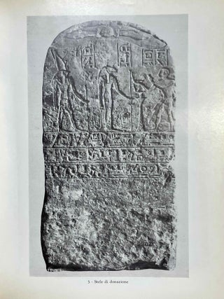 Museo archeologico di Firenze. Vol. 1: Le stele egiziane dall' antico al Nuovo Regno. Vol. 2: Le Stele Egiziane del Nuovo Regno. Vol. 3: Le stele egiziane di epoca tarda (complete set)[newline]M0186f-11.jpeg
