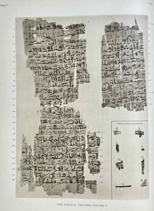 The Edwin Smith surgical papyri. Vol. II: Facsimile Plates and Line for Line Hieroglyphic Transliteration.[newline]M0207h-05.jpeg