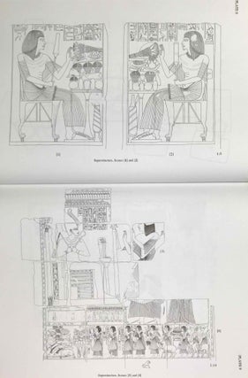 The Tomb of Maya and Meryt. Volume I: The Reliefs, Inscriptions, and Commentary. Volume II: Objects and skeletal remains (complete set)[newline]M0234e-11.jpeg
