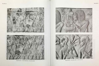 The Tomb of Maya and Meryt. Volume I: The Reliefs, Inscriptions, and Commentary. Volume II: Objects and skeletal remains (complete set)[newline]M0234e-14.jpeg