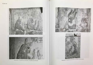 The Tomb of Maya and Meryt. Volume I: The Reliefs, Inscriptions, and Commentary. Volume II: Objects and skeletal remains (complete set)[newline]M0234e-15.jpeg