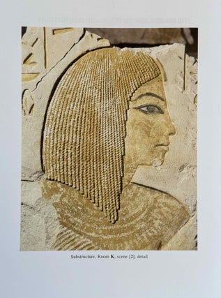 Item #M0234m The Tomb of Maya and Meryt. Volume I: The Reliefs, Inscriptions, and Commentary....