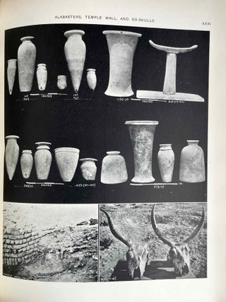 Qau and Badari. Vol. I, II & III (complete set)[newline]M0236a-10.jpeg