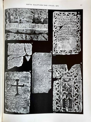 Qau and Badari. Vol. I, II & III (complete set)[newline]M0236a-28.jpeg