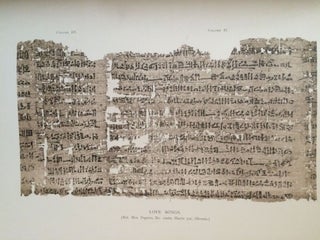 Facsimiles of Egyptian Hieratic Papyri in the British Museum. 1st series & 2nd series[newline]M0266-02.jpg