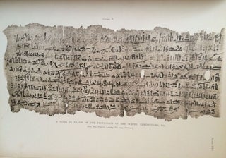 Facsimiles of Egyptian Hieratic Papyri in the British Museum. 1st series & 2nd series[newline]M0266-03.jpg