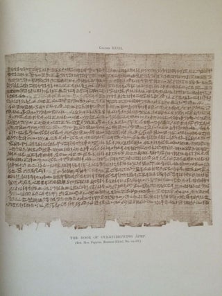 Facsimiles of Egyptian Hieratic Papyri in the British Museum. 1st series & 2nd series