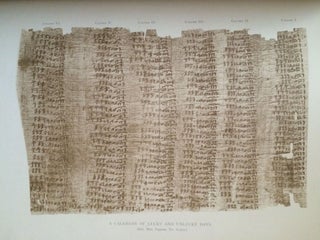 Facsimiles of Egyptian Hieratic Papyri in the British Museum. 1st series & 2nd series