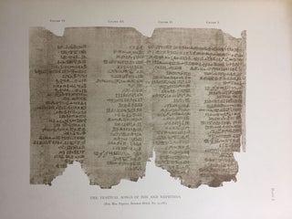 Facsimiles of Egyptian Hieratic Papyri in the British Museum. 1st series.[newline]M0266a-10.jpg