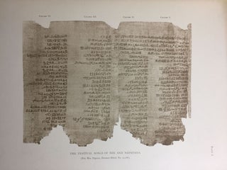 Facsimiles of Egyptian Hieratic Papyri in the British Museum. 1st series.
