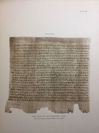 Facsimiles of Egyptian Hieratic Papyri in the British Museum. 1st series.[newline]M0266a-11.jpg