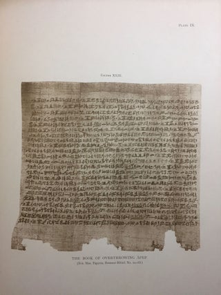 Facsimiles of Egyptian Hieratic Papyri in the British Museum. 1st series.