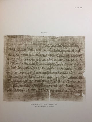 Facsimiles of Egyptian Hieratic Papyri in the British Museum. 1st series.[newline]M0266a-13.jpg