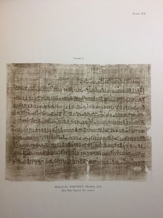 Facsimiles of Egyptian Hieratic Papyri in the British Museum. 1st series.