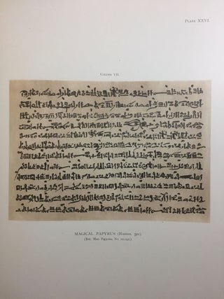 Facsimiles of Egyptian Hieratic Papyri in the British Museum. 1st series.