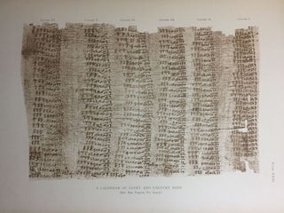 Facsimiles of Egyptian Hieratic Papyri in the British Museum. 1st series.