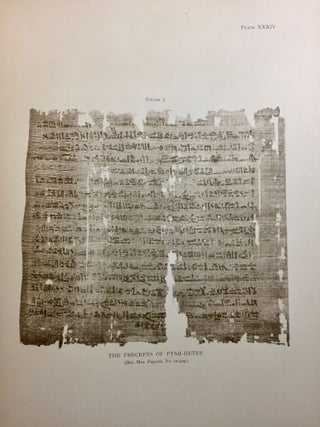 Facsimiles of Egyptian Hieratic Papyri in the British Museum. 1st series.
