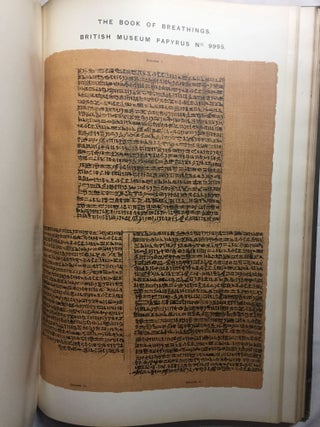 The book of the dead. Facsimiles of the Papyri of Hunefer. Anhai, Kerasher and Netchemet with supplementary text from the papyrus of Nu.[newline]M0273a-11.jpg