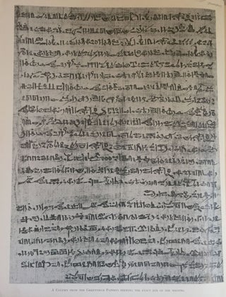 The Greenfield papyrus in the British Museum[newline]M0285b-01.jpg