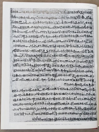 The Greenfield papyrus in the British Museum[newline]M0285b-03.jpeg