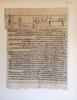 The Greenfield papyrus in the British Museum[newline]M0285b-24.jpg