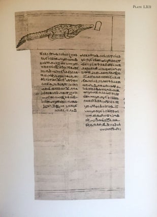The Greenfield papyrus in the British Museum[newline]M0285b-28.jpg
