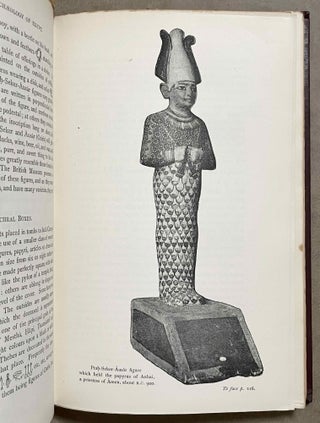 The Mummy. Chapters on Egyptian Funereal Archaeology.[newline]M0286-13.jpeg
