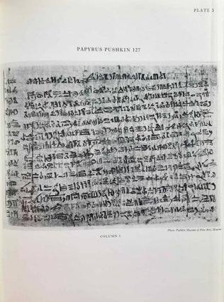 A tale of woe. Papyrus Pushkin 127. From a hieratic papyrus in the A.S. Pushkin Museum of Fine Arts in Moscow.[newline]M0293c-09.jpg
