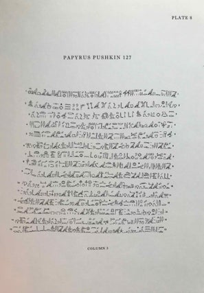 A tale of woe. Papyrus Pushkin 127. From a hieratic papyrus in the A.S. Pushkin Museum of Fine Arts in Moscow.[newline]M0293c-10.jpg