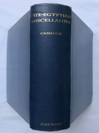 Late Egyptian miscellanies[newline]M0295h-01.jpg