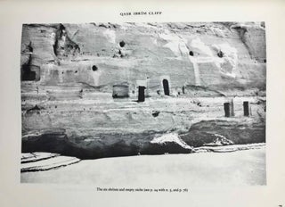 The shrines and rock inscriptions of Ibrim[newline]M0301c-10.jpeg