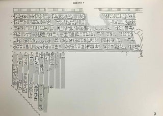 The shrines and rock inscriptions of Ibrim