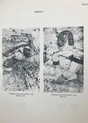 The shrines and rock inscriptions of Ibrim