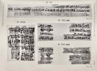 Papyrus hiératiques de Deir el-Medineh. Tome I: Nos I-XVII. Tome II: XVIII-XXXIV (complete set)[newline]M0334j-10.jpeg