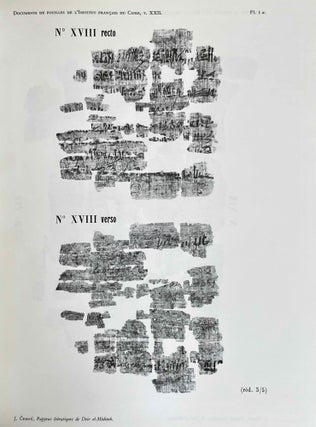 Papyrus hiératiques de Deir el-Medineh. Tome I: Nos I-XVII. Tome II: XVIII-XXXIV (complete set)[newline]M0334k-11.jpeg