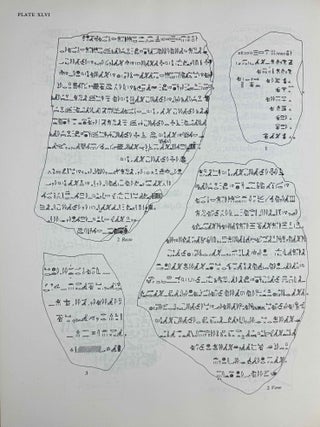 Hieratic ostraca. Vol. I [all published][newline]M0337h-07.jpeg