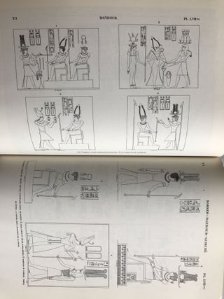Monuments de l'Egypte et de la Nubie d'apres les dessins exécutés sur les lieux, 4 volumes.[newline]M0353a-12.jpg