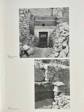 Deux tombes de la XVIIIe dynastie &agrave; Deir el-Medina[newline]M0366-05.jpeg