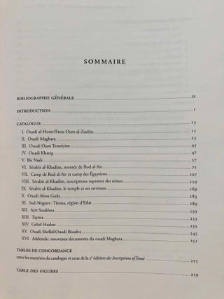 La zone minière pharaonique du Sud-Sinaï - I: Catalogue complémentaire des inscriptions du Sinaï. Parts I & II (complete set)[newline]M0372-02.jpg