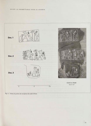 La zone minière pharaonique du Sud-Sinaï - I: Catalogue complémentaire des inscriptions du Sinaï. Parts I & II (complete set)[newline]M0372-12.jpg