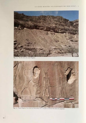 La zone minière pharaonique du Sud-Sinaï - I: Catalogue complémentaire des inscriptions du Sinaï. Parts I & II (complete set)[newline]M0372-13.jpg