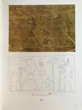 La zone minière pharaonique du Sud-Sinaï - I: Catalogue complémentaire des inscriptions du Sinaï. Parts I & II (complete set)[newline]M0372-17.jpg