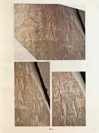 La zone minière pharaonique du Sud-Sinaï - I: Catalogue complémentaire des inscriptions du Sinaï. Parts I & II (complete set)[newline]M0372-18.jpg