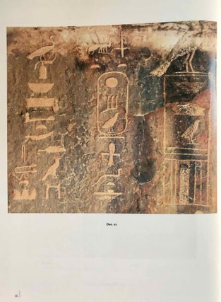 La zone minière pharaonique du Sud-Sinaï - I: Catalogue complémentaire des inscriptions du Sinaï. Parts I & II (complete set)[newline]M0372-19.jpg
