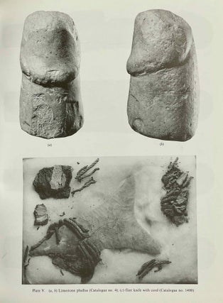 Catalogue of the Predynastic Egyptian Collections in the Ashmolean Museum[newline]M0382c-13.jpeg